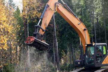 Underbrush Mulching